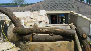 ZOO Praha - výběh pro hrochy