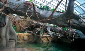 Zoo Praha reference Bert